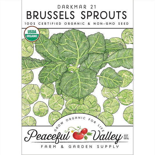 Darkmar 21 Brussels Sprouts Seeds (Organic) - Blessings Grow Meadows