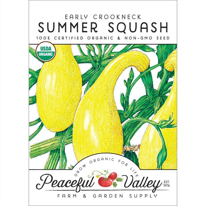 Early Crookneck Summer Squash Seeds (Organic) - Blessings Grow Meadows