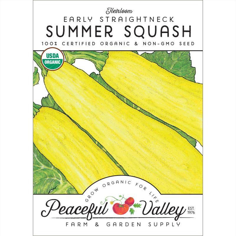 Early Straightneck Summer Squash Seeds (Organic) - Blessings Grow Meadows