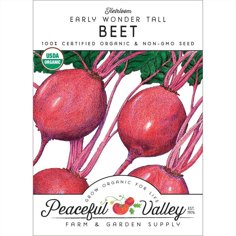 Early Wonder Tall Beet Seeds (Organic) - Blessings Grow Meadows