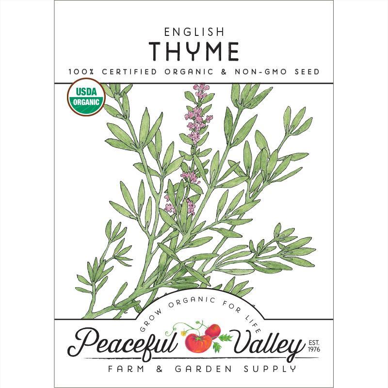 English Thyme Seeds (Organic) - Blessings Grow Meadows