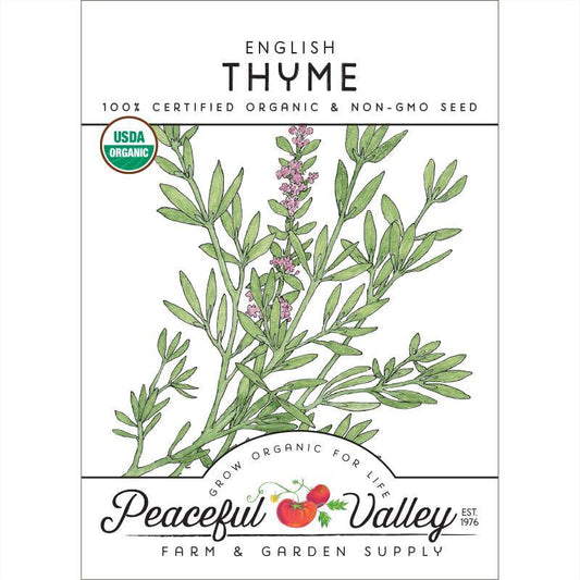 English Thyme Seeds (Organic) - Blessings Grow Meadows