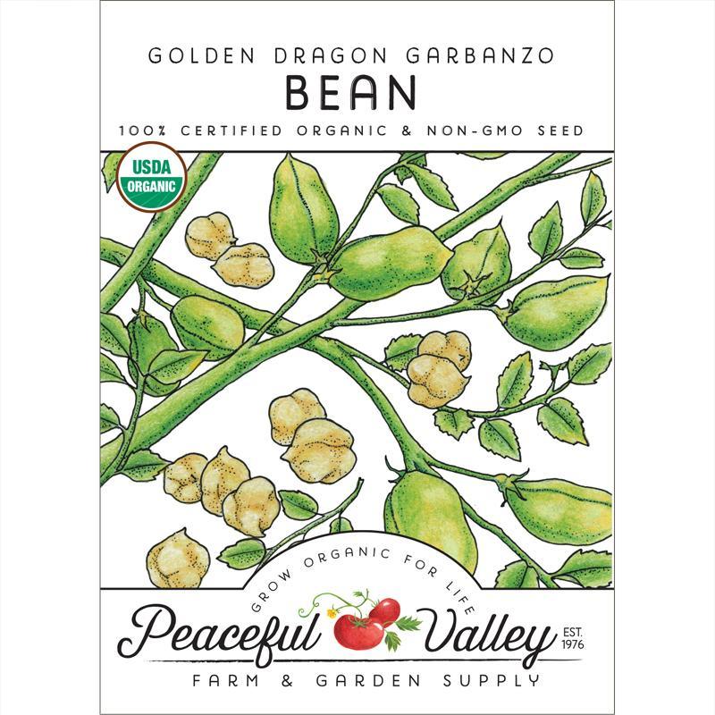 Garbanzo Golden Dragon Bush Bean Seeds (Organic) - Blessings Grow Meadows
