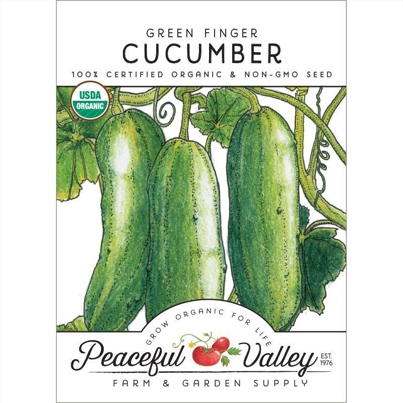 Green Finger Cucumber Seeds (Organic) - Blessings Grow Meadows
