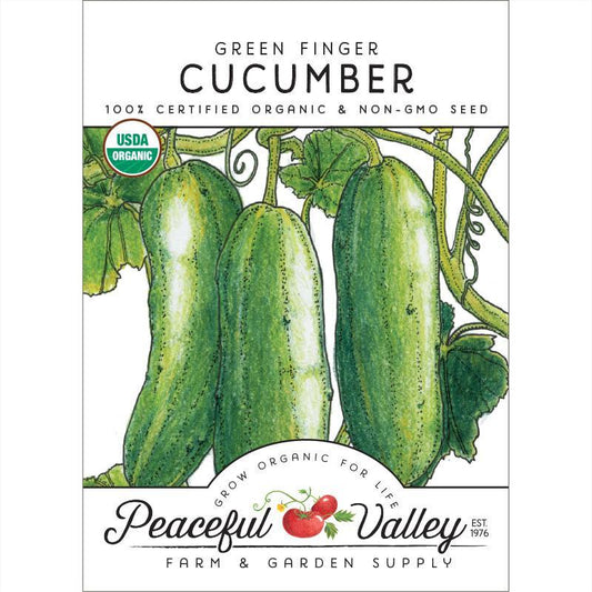 Green Finger Cucumber Seeds (Organic) - Blessings Grow Meadows