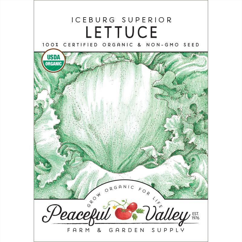 Iceberg Superior Lettuce Seeds (Organic) - Blessings Grow Meadows