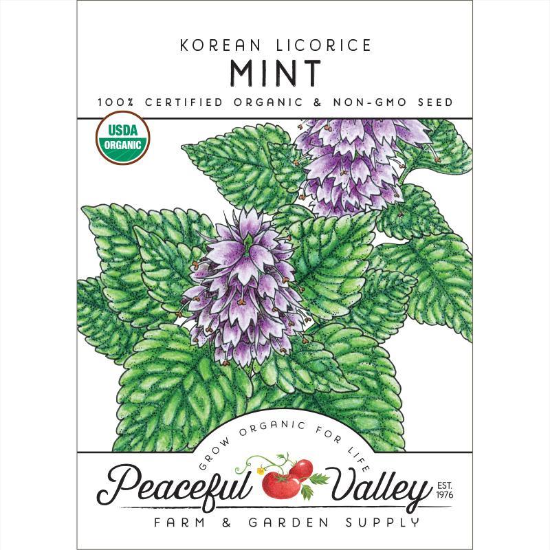 Korean Licorice Mint Seeds (Organic) - Blessings Grow Meadows