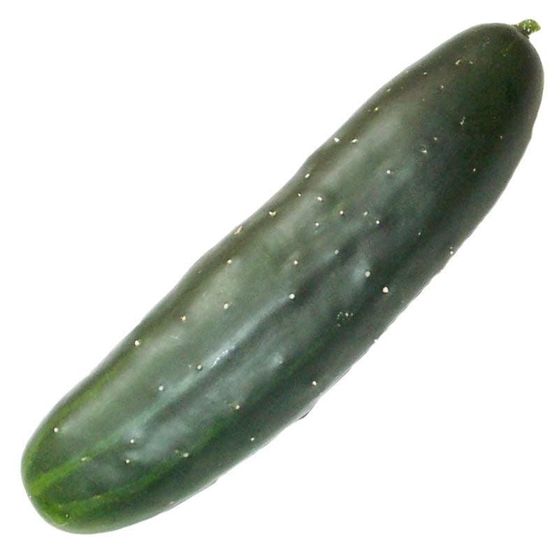 Marketmore 76 Cucumber Seeds (Organic) - Blessings Grow Meadows