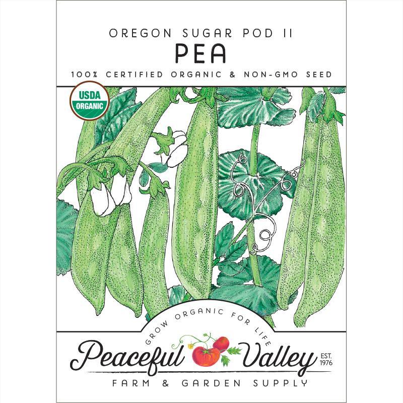 Oregon Sugar Pod Pea Seeds (Organic) - Blessings Grow Meadows