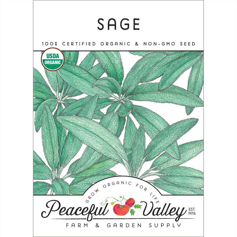 Sage Seeds (Organic) - Blessings Grow Meadows