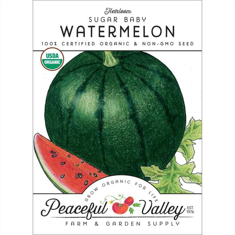 Sugar Baby Watermelon Seeds (Organic) - Blessings Grow Meadows
