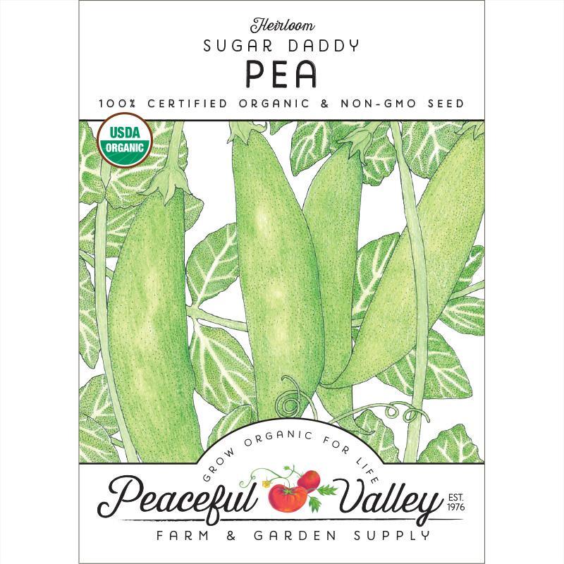 Sugar Daddy Pea Seeds (Organic) - Blessings Grow Meadows