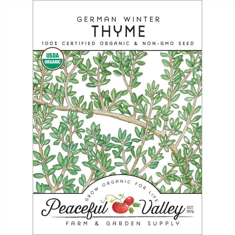 Thyme, German Winter (Organic) - Blessings Grow Meadows