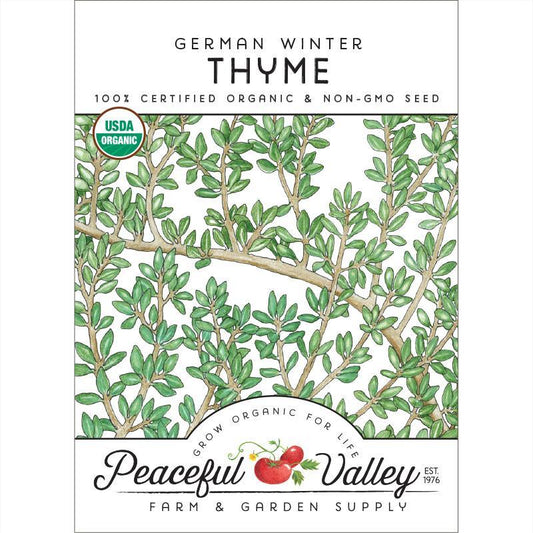 Thyme, German Winter (Organic) - Blessings Grow Meadows