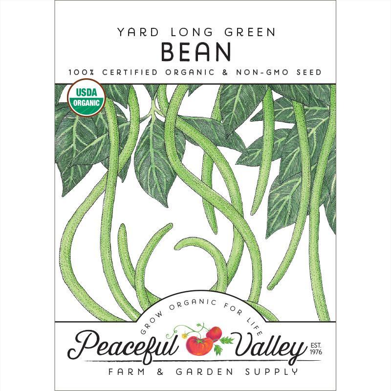 Yard Long Pole Bean Seeds (Organic) - Blessings Grow Meadows