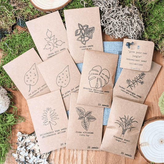 Assorted houseplant seeds from Plantflix's "Grow Your Own Jungle" collection, displayed in small packets for indoor gardening.