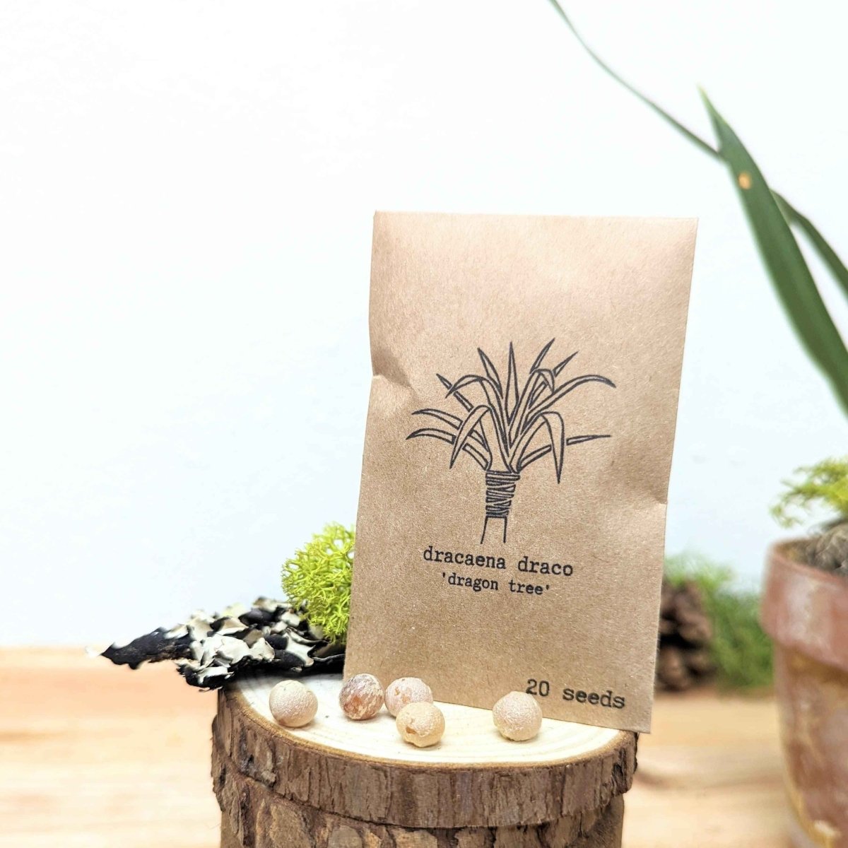 Assorted houseplant seeds from Plantflix's "Grow Your Own Jungle" collection, ready for planting and indoor jungle growth.