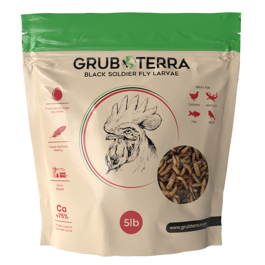 GrubTerra Dried Black Soldier Fly Larvae 10lb is a natural pet food with chicken illustration, benefits icons, and a window displaying larvae inside. Ideal as feed for chickens, fish, or reptiles. Brand: GrubTerra.