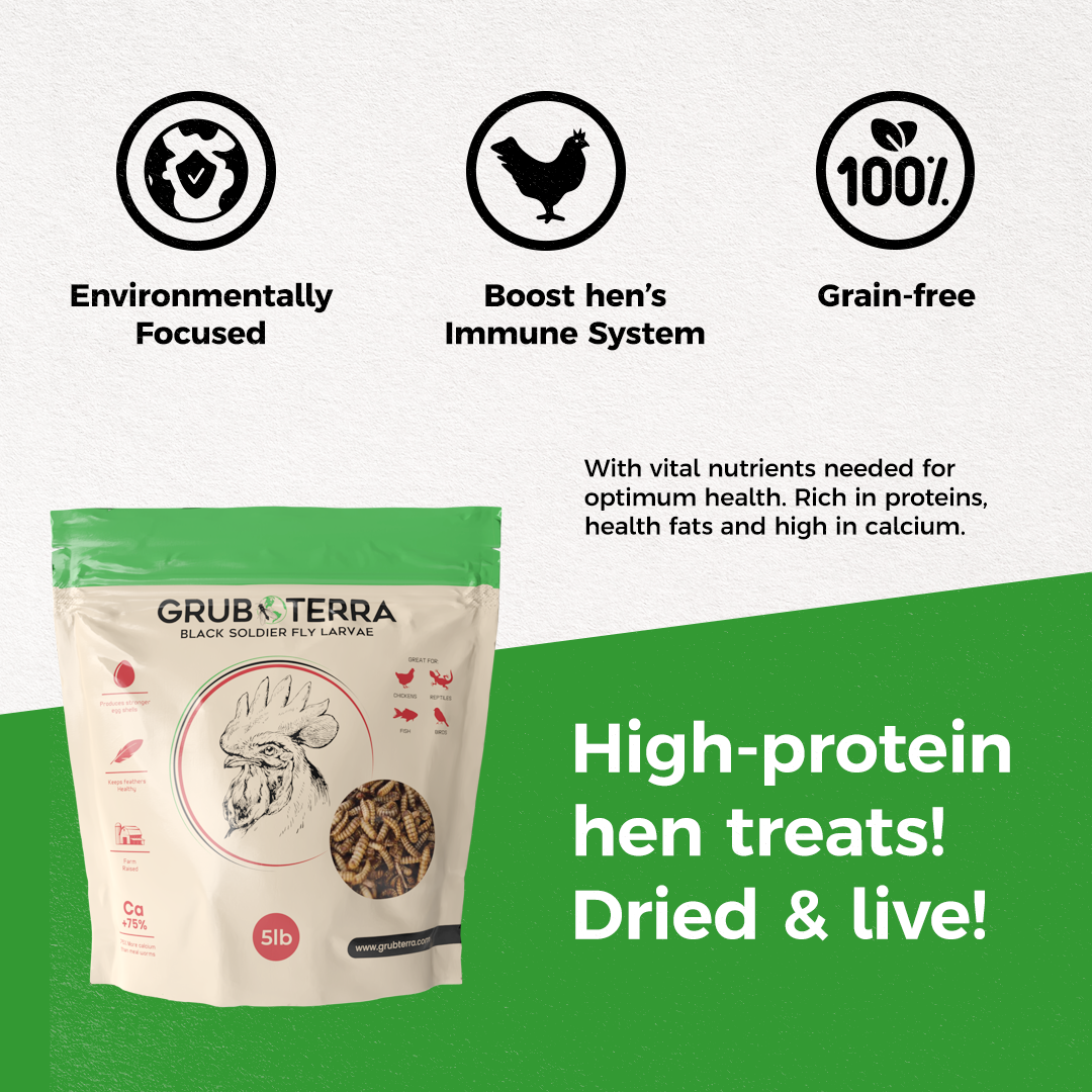 GrubTerra Dried Black Soldier Fly Larvae Feed sample in a clear bag, showing dried black soldier fly larvae, natural protein source.