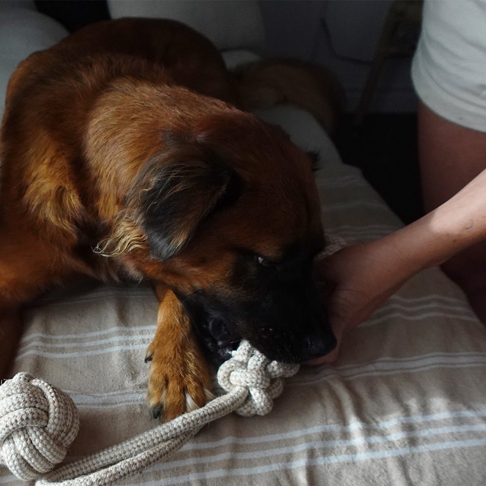 Durable hemp rope tug toy for dogs by Tilley + Me, made from sustainable, non-toxic hemp for active play and chewing.