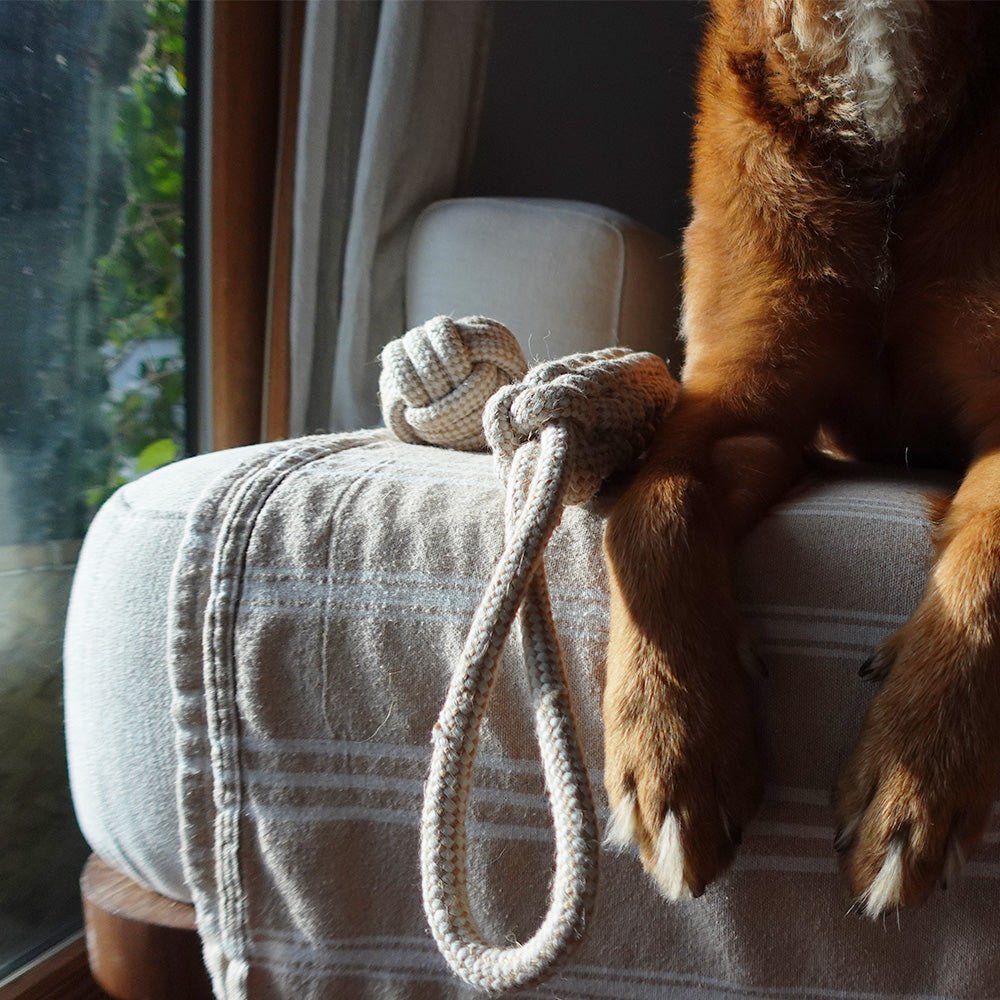 Durable hemp rope tug toy for dogs by Tilley + Me, made from sustainable, non-toxic materials for active play.