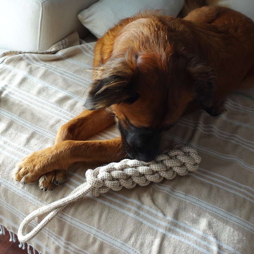 Tilley + Me indestructible hemp rope tug toy for dogs, eco-friendly and non-toxic pet toy with durable woven hemp material.