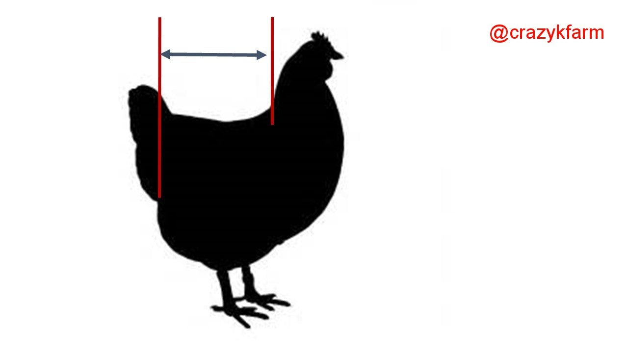 Crazy K Farm chicken, duck, and goose diaper harness with sewn-in liner, designed for birds like hens, ducks, and geese.