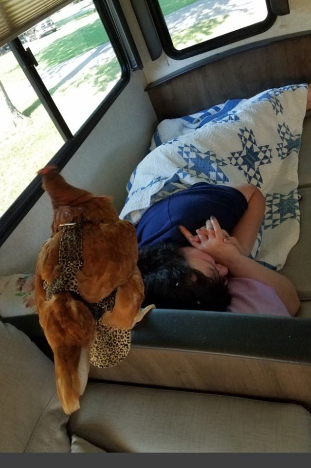 Hen Holster Bird Diaper/Harness (chicken diaper, duck diaper, pigeon diaper with Removable Vinyl Liner) - Blessings Grow Meadows