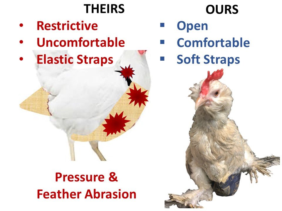 Crazy K Farm Pet and Poultry Hen Holster chicken, duck, and goose diaper harness with permanent sewn-in liner on white background.