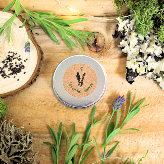 Collection of lavender herb seeds from Plantflix, showing small seed packets ideal for planting lavender at home.