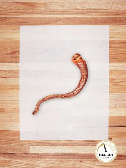 Farm Hounds hog tail chew showing a natural, twisted hog tail chew for dogs, highlighting its rustic, rawhide-like appearance.