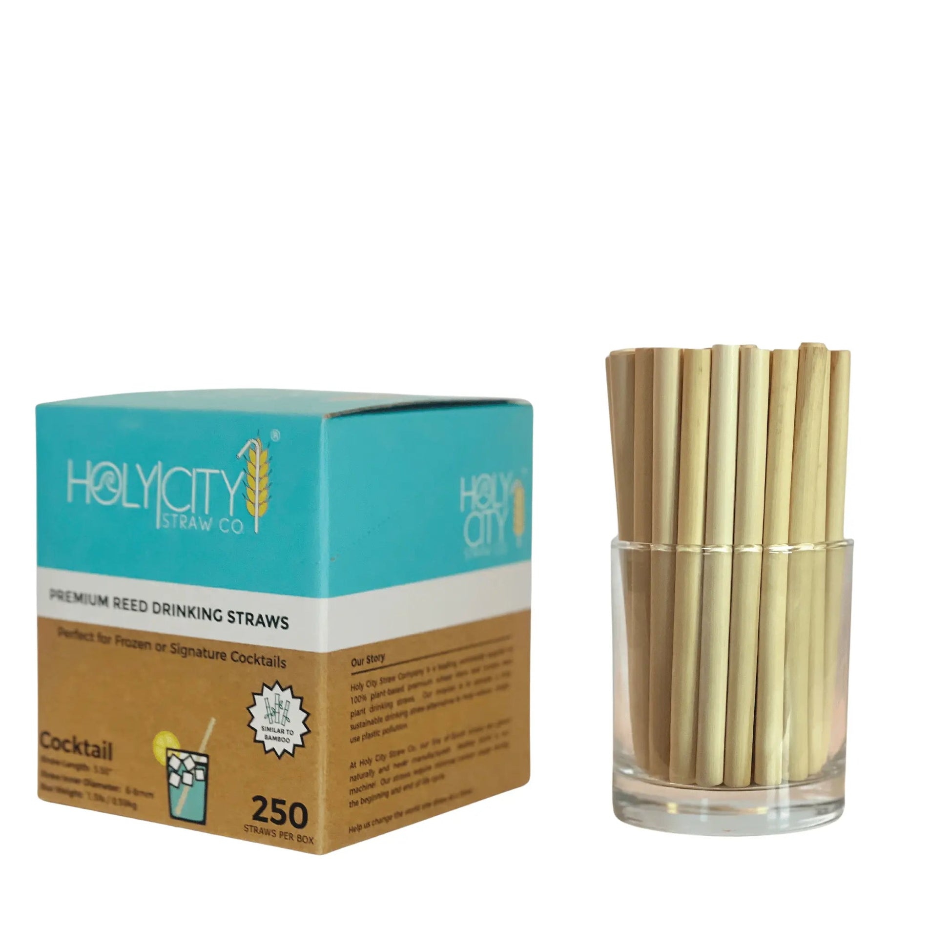 5.5 Jumbo Reed Straws - Blessings Grow Meadows -