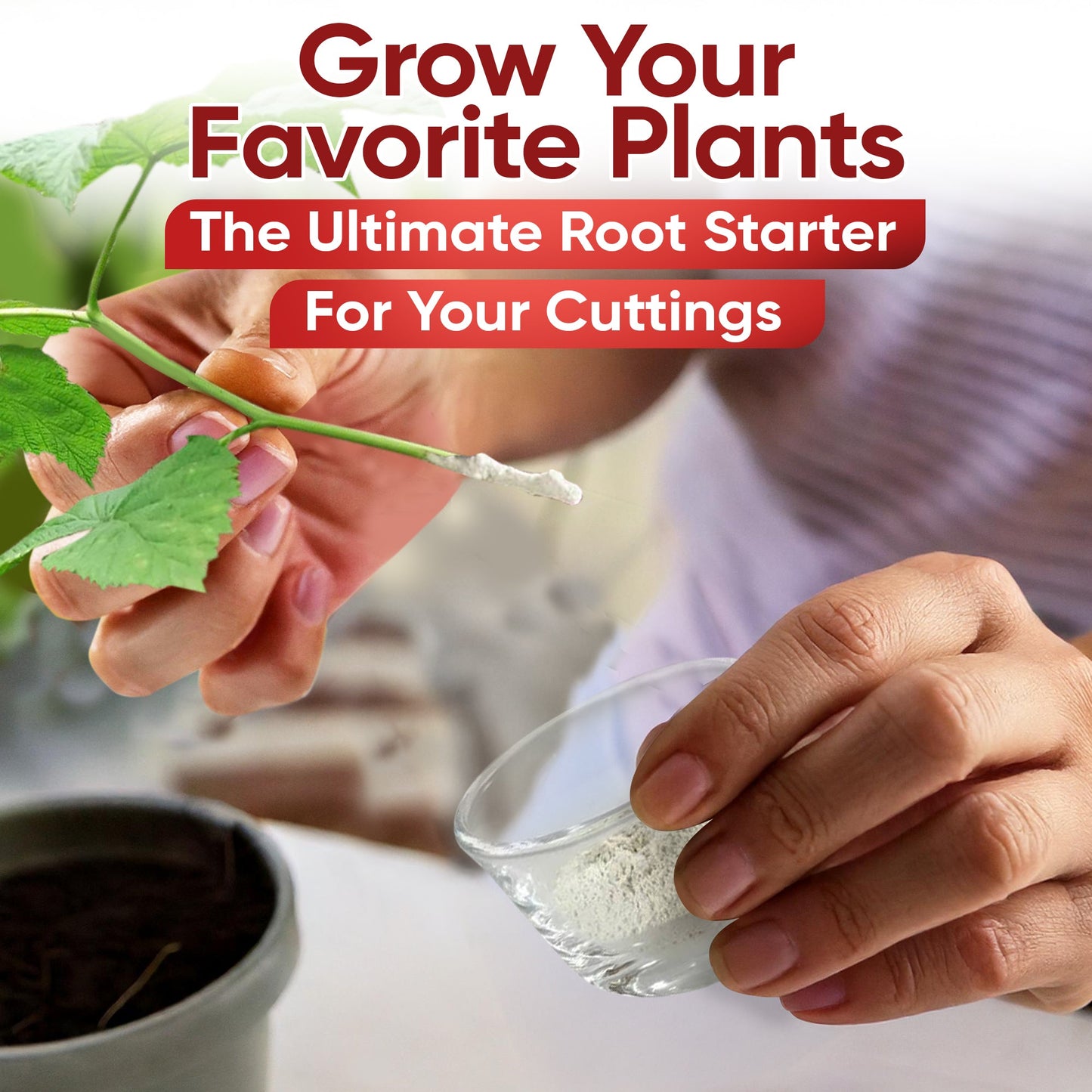 Hormex Rooting Powder #16 (1.60 IBA) - Rooting Hormone for Difficult Hardwood Plants & Tree Cuttings - Blessings Grow Meadows