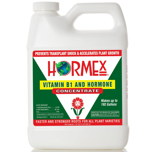 Hormex Rooting Hormone Concentrate with B1 – Root Growth Stimulator for Stronger, Thriving Plants - Prevents Transplant Shock - Hydroponics, Houseplants, Gardens, Trees, Fruits and Vegetables - Blessings Grow Meadows