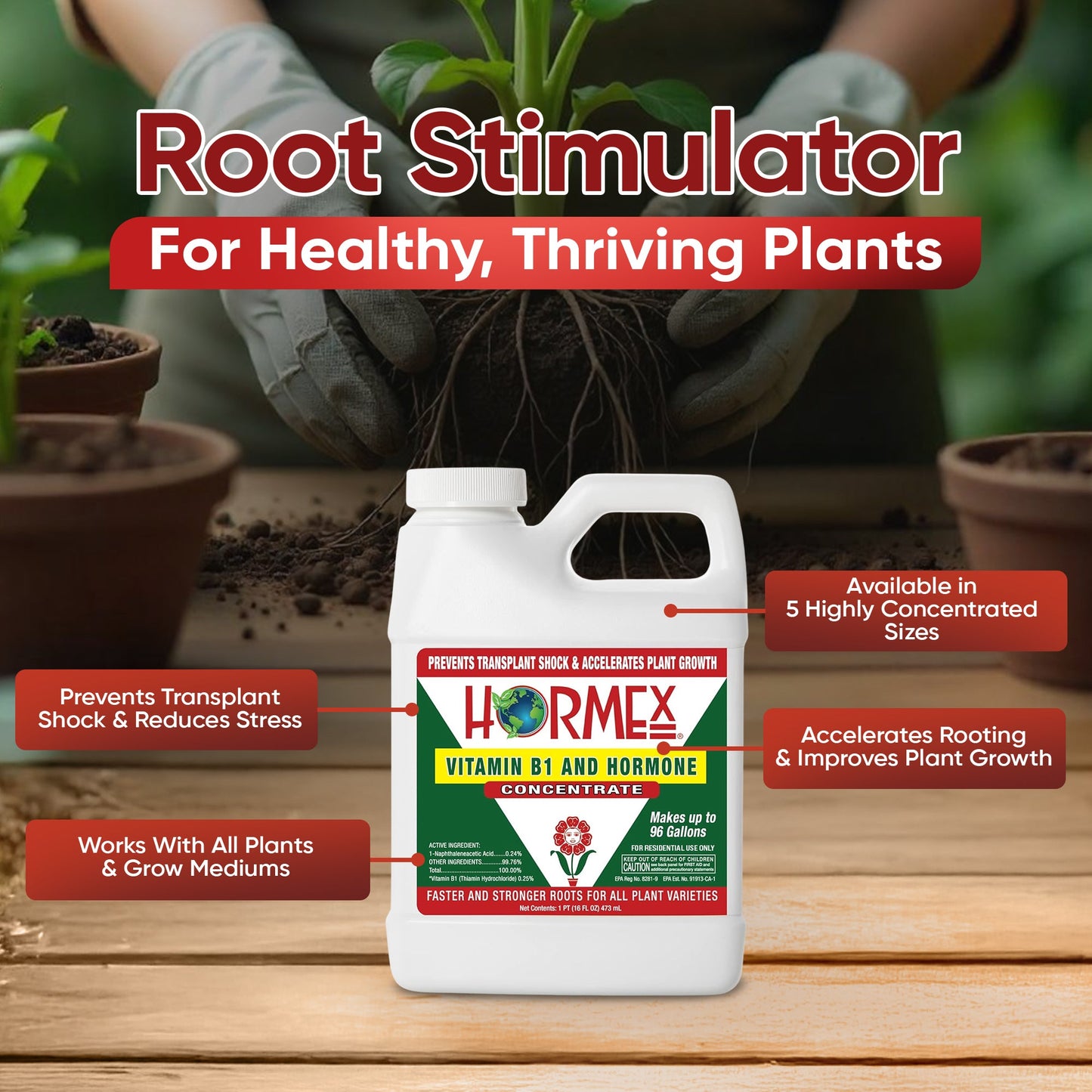 Hormex Rooting Hormone Concentrate with B1 – Root Growth Stimulator for Stronger, Thriving Plants - Prevents Transplant Shock - Hydroponics, Houseplants, Gardens, Trees, Fruits and Vegetables - Blessings Grow Meadows