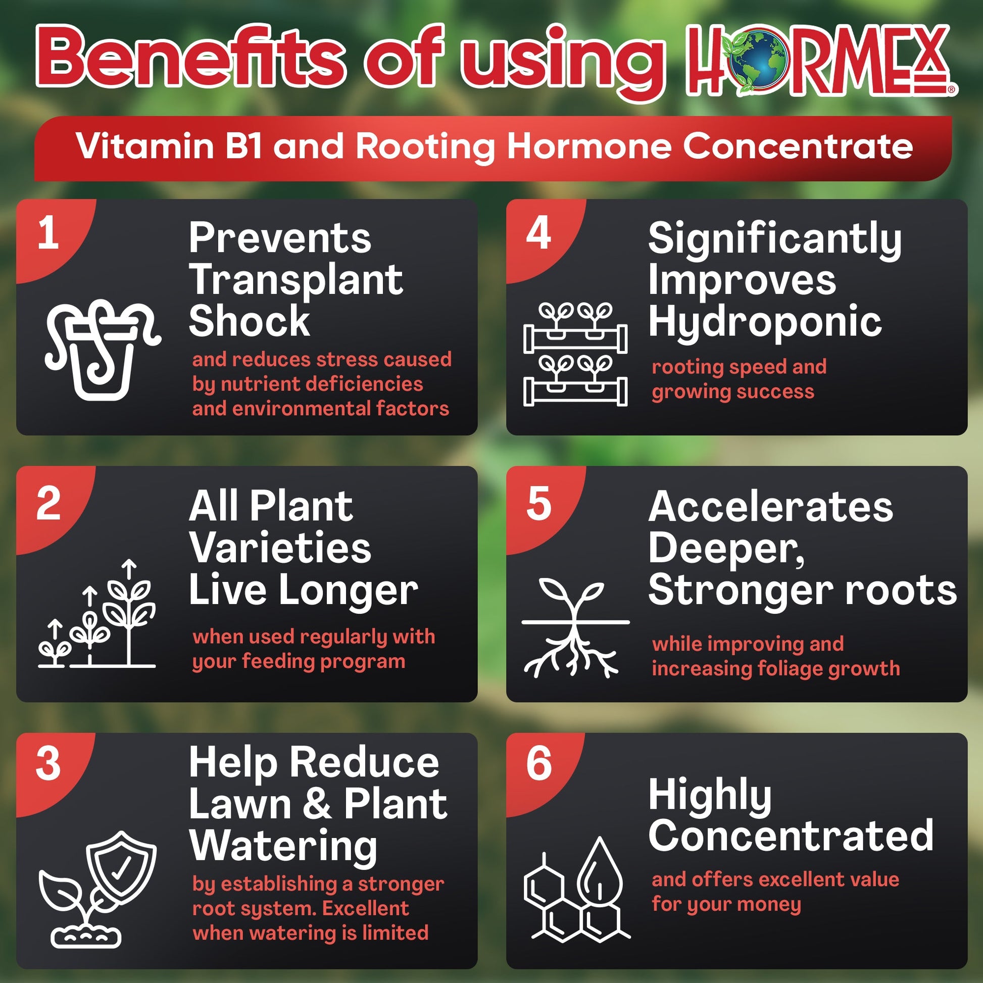 Hormex Rooting Hormone Concentrate with B1 – Root Growth Stimulator for Stronger, Thriving Plants - Prevents Transplant Shock - Hydroponics, Houseplants, Gardens, Trees, Fruits and Vegetables - Blessings Grow Meadows