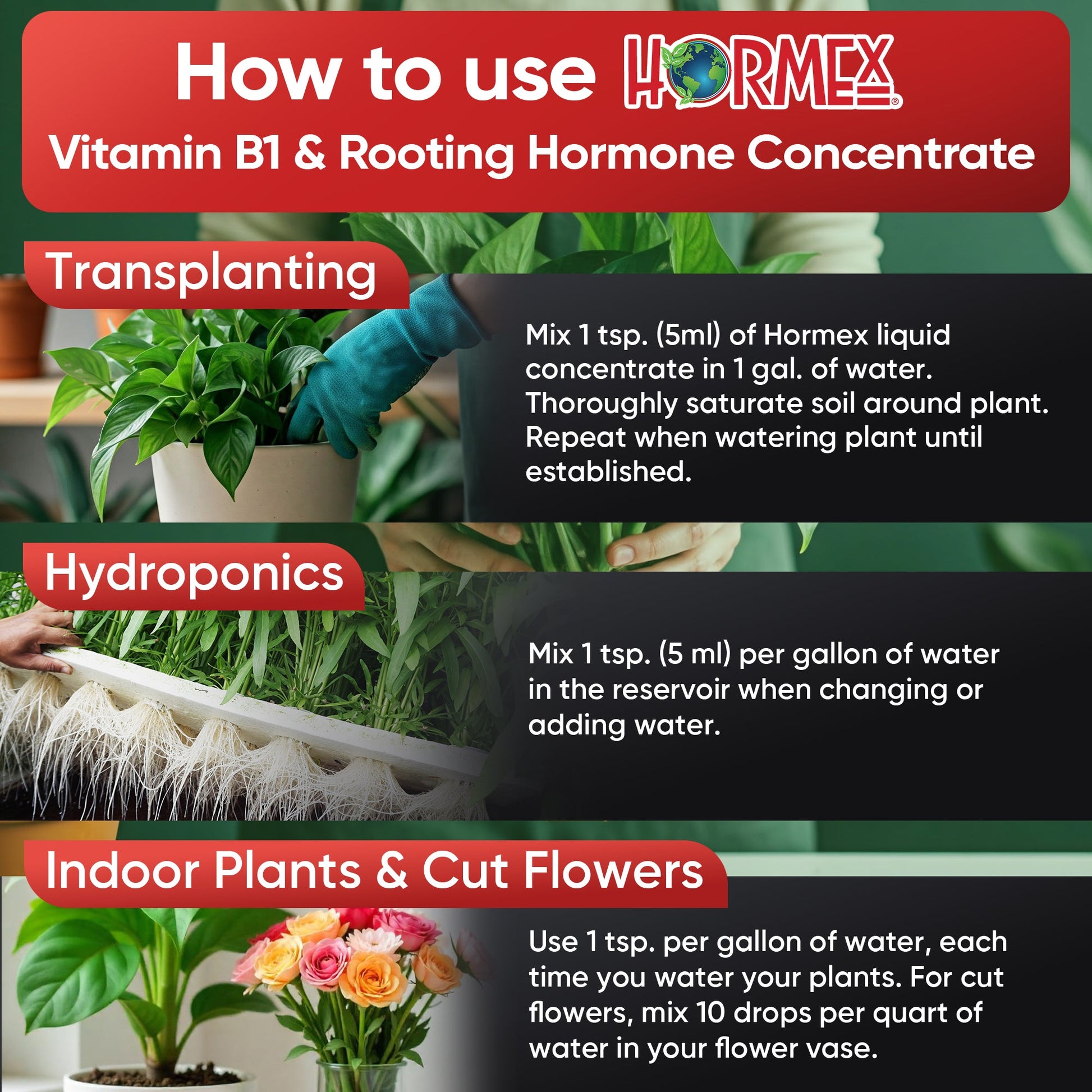 Hormex Rooting Hormone Concentrate with B1 – Root Growth Stimulator for Stronger, Thriving Plants - Prevents Transplant Shock - Hydroponics, Houseplants, Gardens, Trees, Fruits and Vegetables - Blessings Grow Meadows