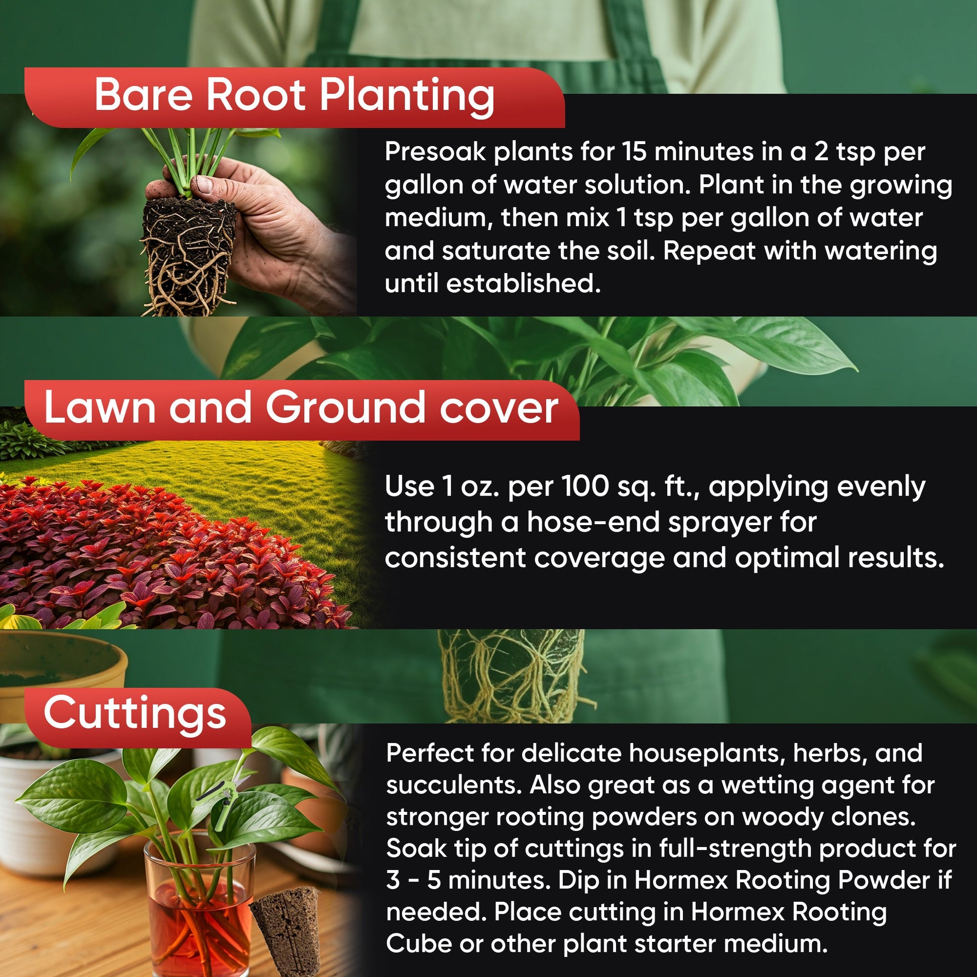 Hormex Rooting Hormone Concentrate with B1 – Root Growth Stimulator for Stronger, Thriving Plants - Prevents Transplant Shock - Hydroponics, Houseplants, Gardens, Trees, Fruits and Vegetables - Blessings Grow Meadows