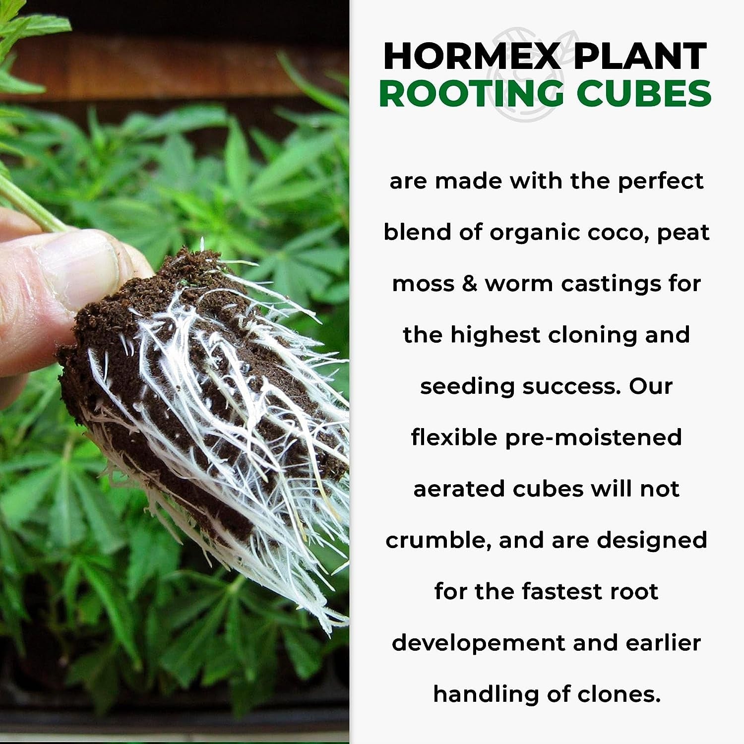Hormex Rooting Cubes - Grow Plants from Cuttings or Start from Seed - Peat Moss & Coco Plugs - For Strong Roots & Healthy Plants - Ideal for Home & Professional Growers - Blessings Grow Meadows