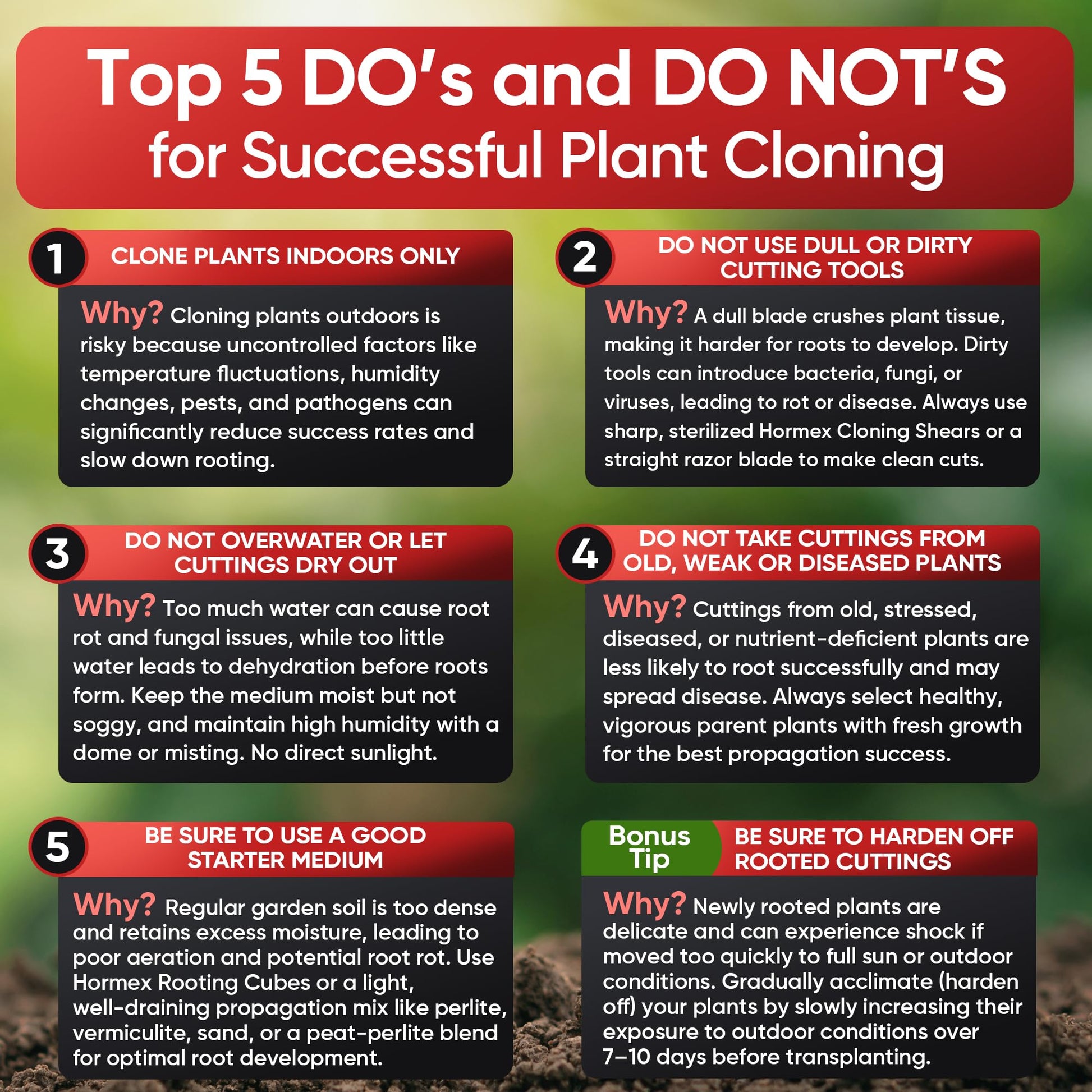 Hormex Rooting Cubes - Grow Plants from Cuttings or Start from Seed - Peat Moss & Coco Plugs - For Strong Roots & Healthy Plants - Ideal for Home & Professional Growers - Blessings Grow Meadows