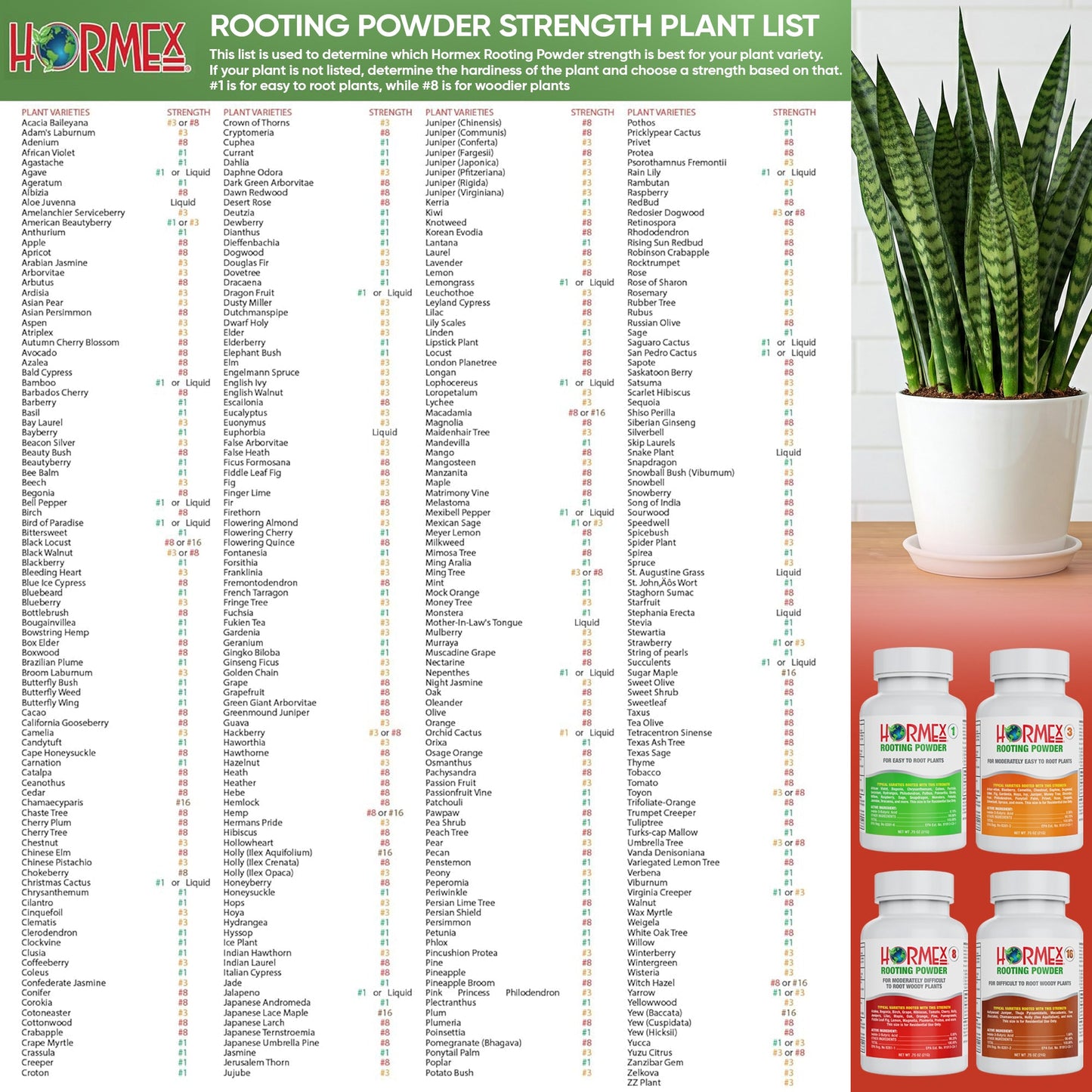 Hormex Rooting Powder Pack #1, 3, 8 - Rooting Hormone for Delicate and Common Houseplants to Semi-Hardwood, Medicinal Plants and Tree Cuttings - Blessings Grow Meadows