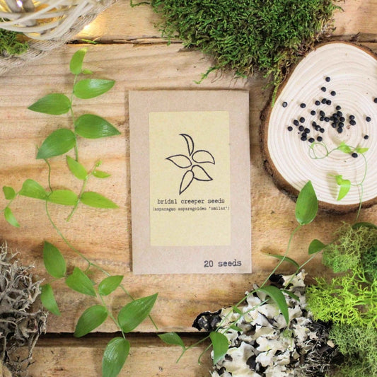 Houseplant Adventurer Seed Collection by Plantflix featuring various houseplant seeds on a white background.