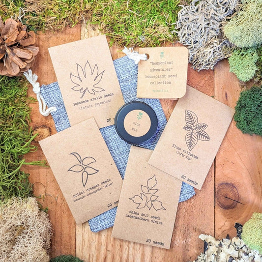 Collection of various houseplant seeds from Plantflix's Houseplant Adventurer Seed Collection, displayed in small packets.