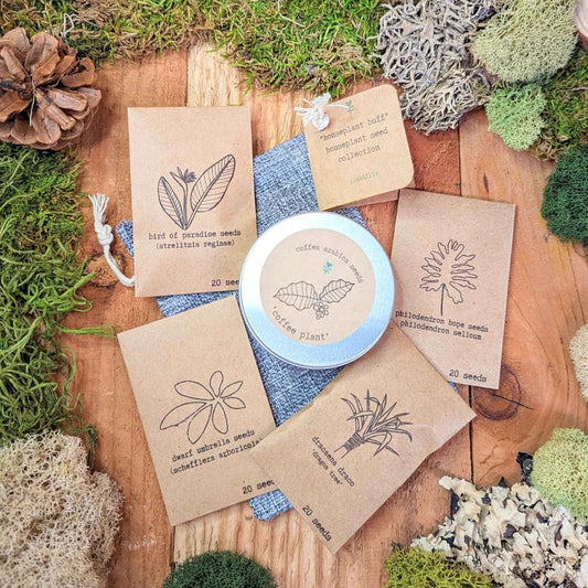 Set of houseplant seeds from Plantflix's Houseplant Buff collection, featuring various small seed packets for indoor plants.