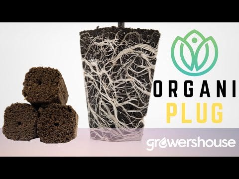 Close-up of GrowersHouse OrganiPlug seed and cutting plugs in a pre-filled tray, ready for planting and propagation.