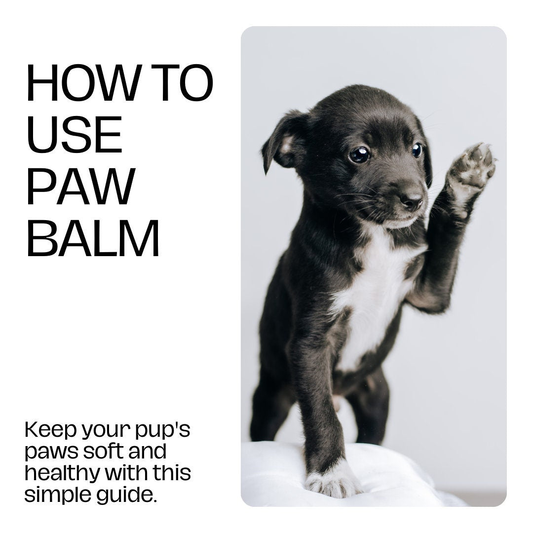Paw & Nose Balm - Blessings Grow Meadows