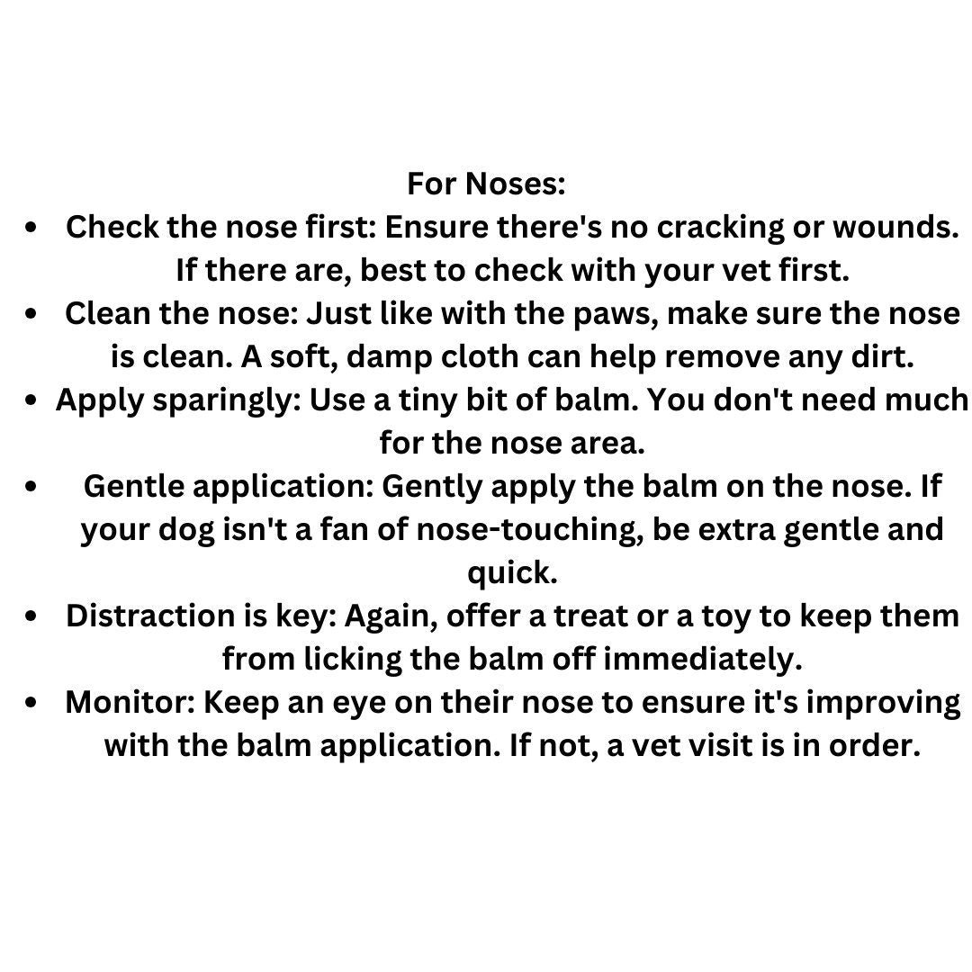 Paw & Nose Balm - Blessings Grow Meadows