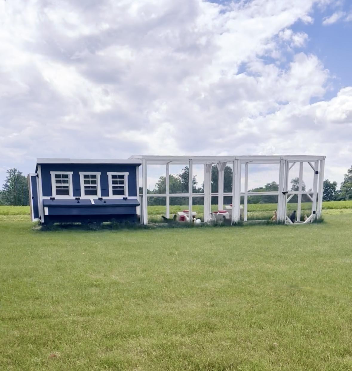 OverEZ XL Chicken Coop designed for up to 20 chickens, featuring spacious outdoor enclosure and secure nesting areas.