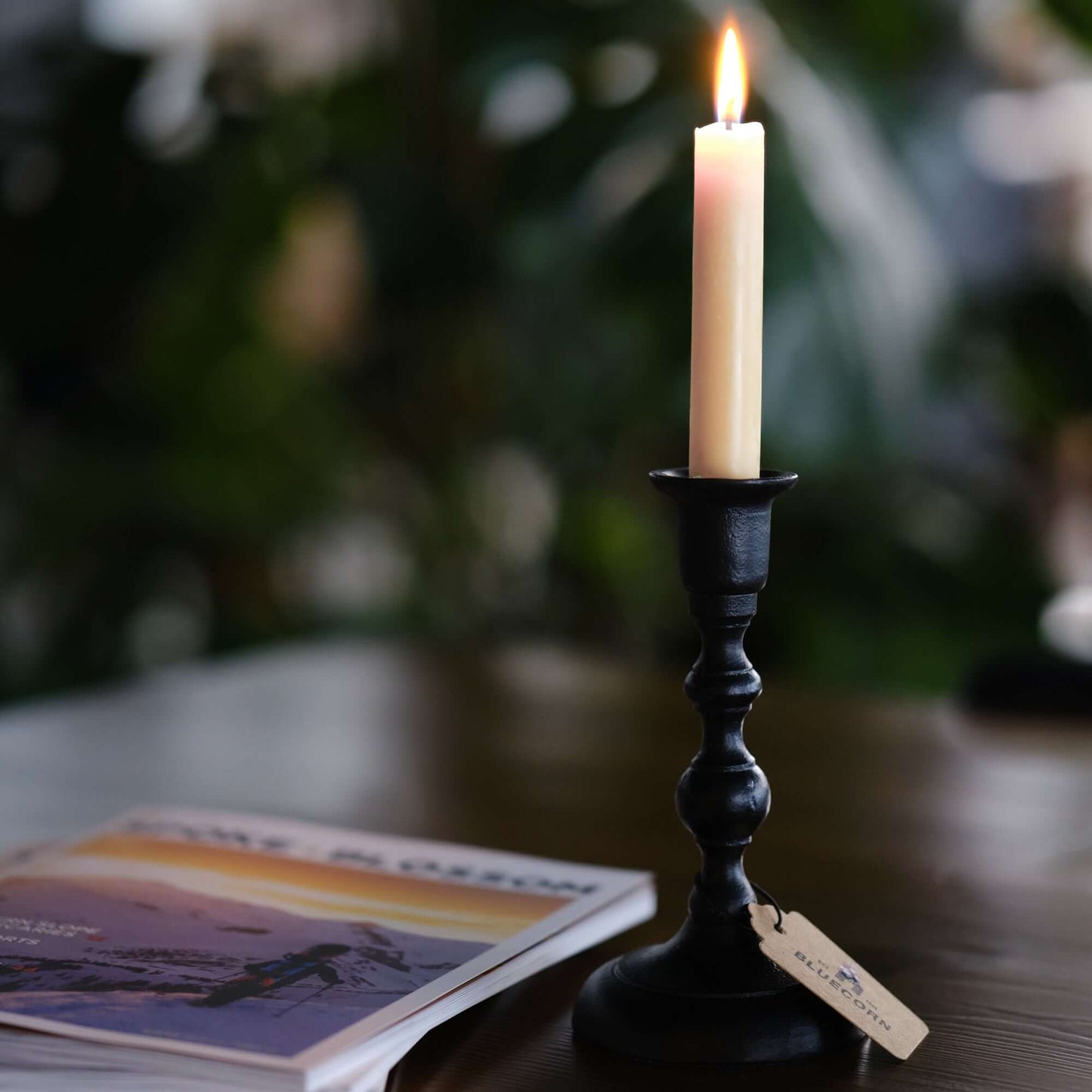 Ivory hand-dipped beeswax taper candles from Bluecorn Candles burning drip-free in a cast iron candlestick holder.