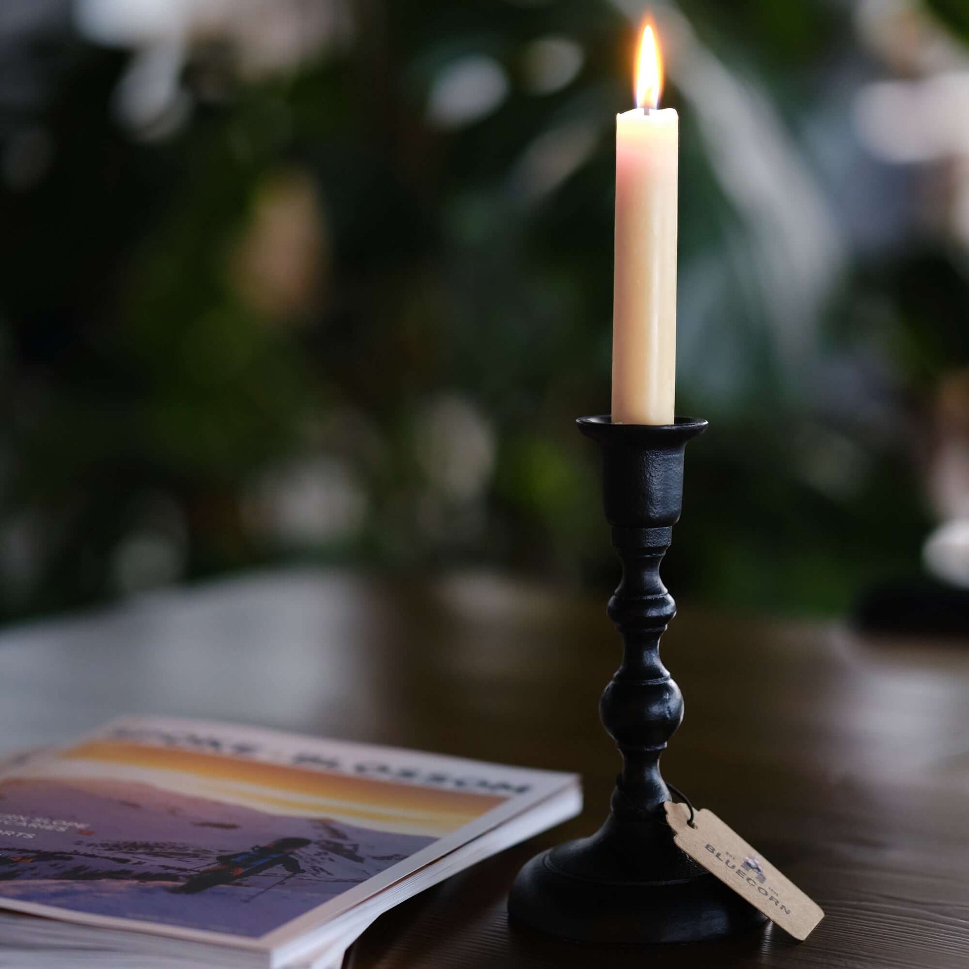 Ivory hand-dipped beeswax taper candles from Bluecorn Candles burning drip-free in a cast iron candlestick holder.